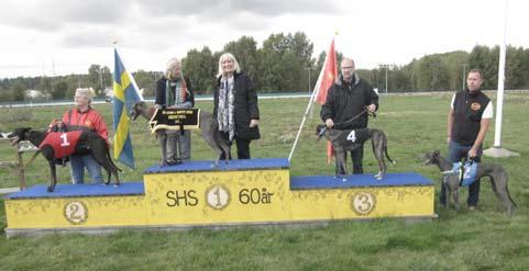 Vi hade tre whippetlopp, två var sponsrade av Goat-Wools kennel, nämligen Doris och Jonathan loppen. I ett K4 lopp fick vi se Hamilton ta sin första seger på 18.89, för Robert Hanebrink.