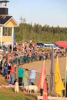 Därefter kom Myran, Flower Power och Miss Corona. Kent Andersson Whippets på rundbane SM i Skellefteå 20/7 SM veckans första dag innehöll Whipparnas semifinaler med 8 startande i den öppna klassen.
