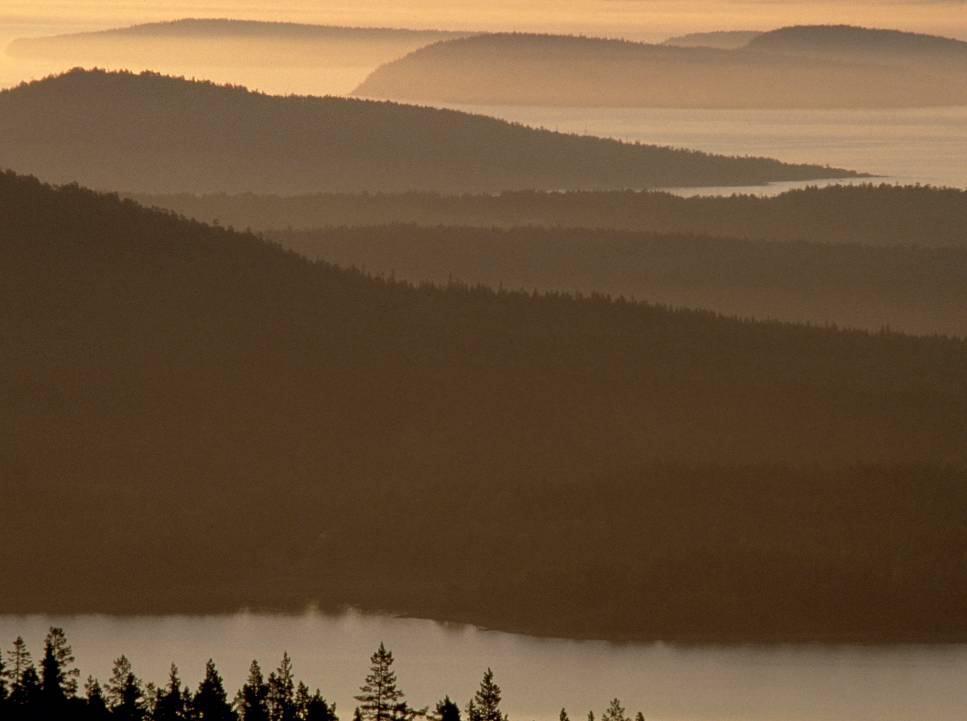 Maria Isaksson,