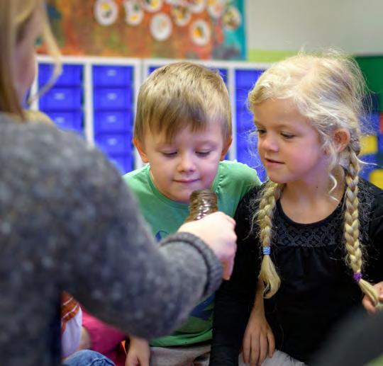 7( 17) Förskolan/skolans uppdrag - förankring i styrdokument Studie- och yrkesvägledningen är såväl förskolan som skolans ansvar dvs.