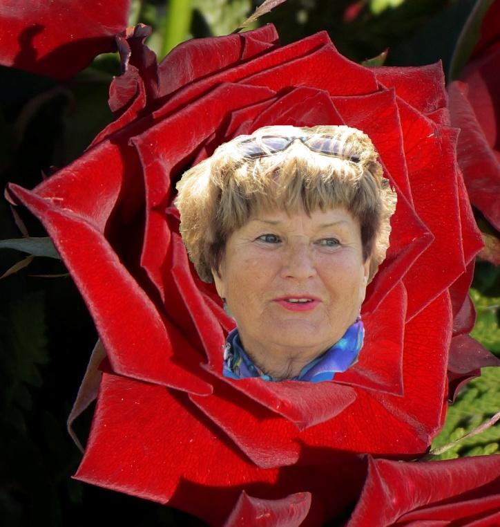 Logen Uddevalla Gratulerar Sy Ann på 85-årsdagen Vår Kulturledare