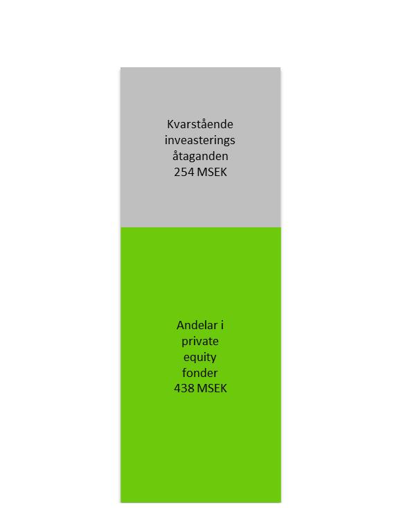 Investeringsstrategin inriktas på en selektiv och diversifierad fondportfölj. Verksamheten inleddes den 17 april 2007 och bolaget listades på Stockholmsbörsens First North lista den 14 maj 2007.