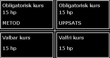 Föreläsningar och gruppdiskussioner ger dig ökad förståelse för de problem patienter uppvisar efter en förvärvad hjärnskada.