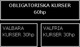 Kursen kan bl a sökas av psykologstuderande som fullgjort 180 hp av psykologprogrammet.