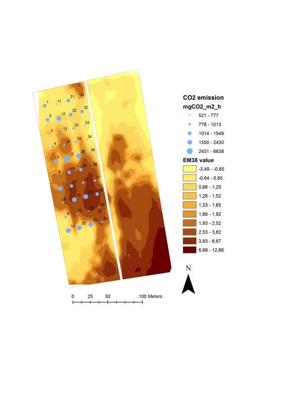 Inomfältsvariation i markegenskaper och koldioxidavgång Pilotprojekt på odlad torvjord Örjan Berglund och Kerstin Berglund Sveriges Lantbruksuniversitet Rapport