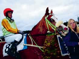 TIPS & RANK Lopp - V- Rex Kalejs Crafty Exit 9 Heart Man 8 Half Tiger Buzzbird 7 Web Of Dreams Top Story Little Warrior El Classico Vinterns sista V-omgång innehåller enbart svårlösta handicaper och