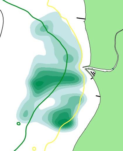 I figur 6 har data från samtliga 16 transekter för södra Lommabukten använts för en motsvarande karta. Liksom för 2007 återfinns de största bestånden strax söder om Höje å samt i höjd med Blå Caféet.