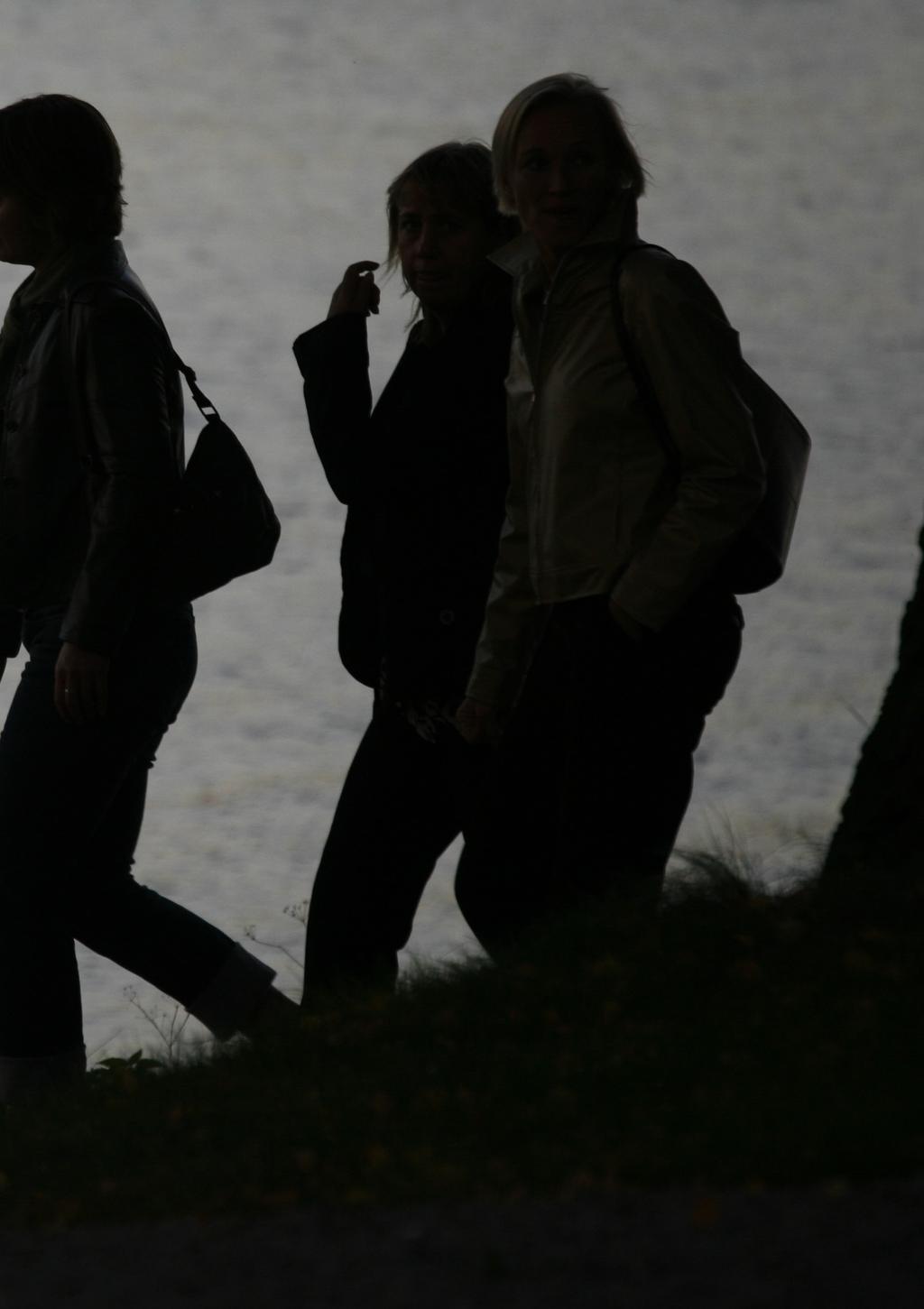 Unga och rökning En studie om riskfaktorer för rökning