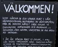 Att bjuda på sig själv och den unika berättelsen. Att få råd om att förmedla företagets historier. I text, video eller som muntligt berättande?