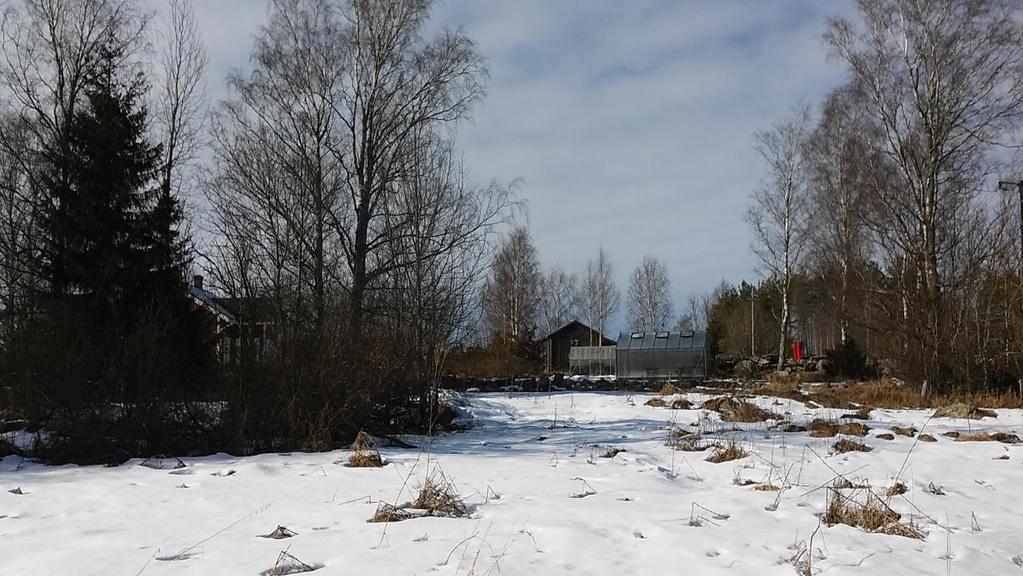 Solf Hägnan, kvarter 45-49 6 Bild 5 Taget norrut från kommunens mark i södra delen av planen Bild 6 Kommunens mark i södra delen av planen. 3.1.