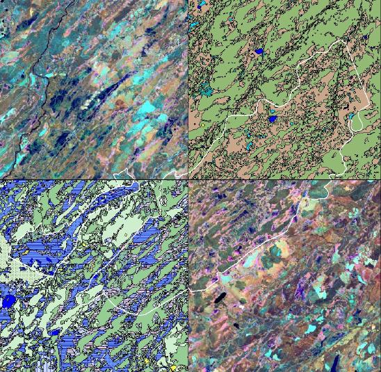 Satellitdata och svenska naturtyper i Natura 2000 möjlighetsstudie.