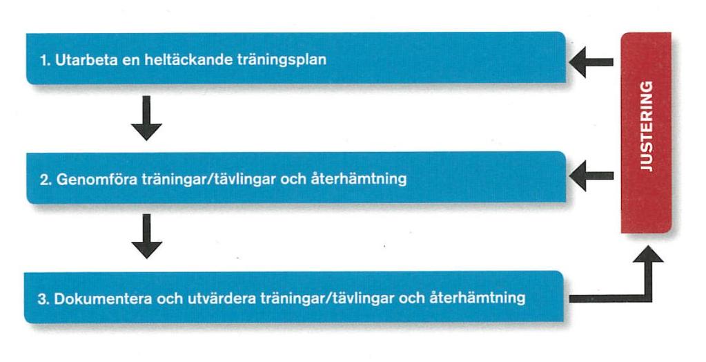 Allmän träningslära - Träningsprocessen Kondition och