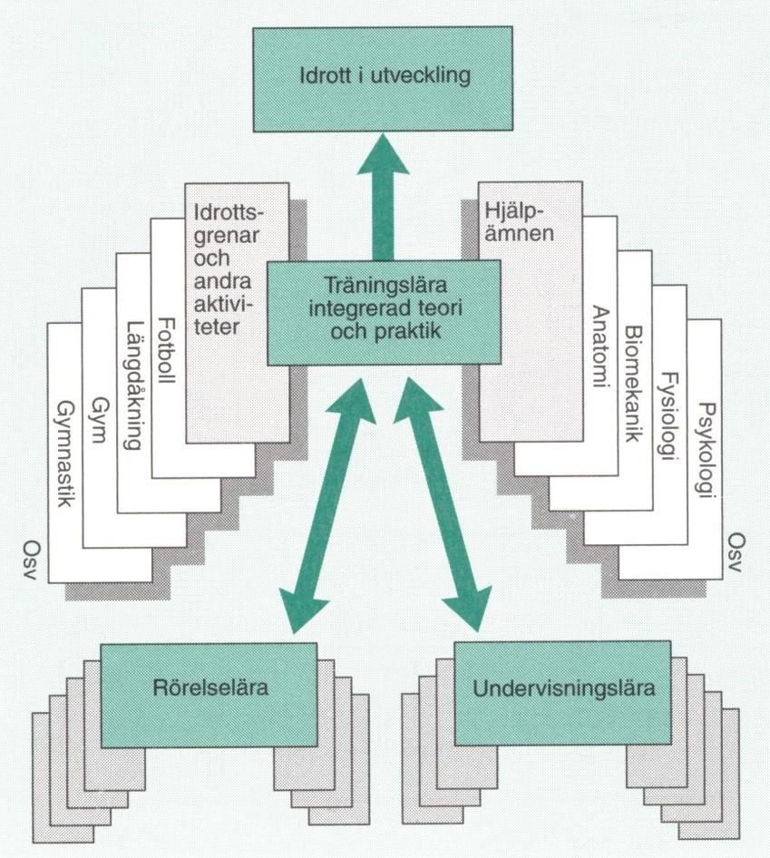 Träningslära Gjerset mfl Idrottens Träningslära sid 14, 15, 1997, (efter Skard 1985)