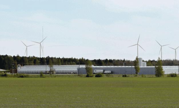 PLANLÄGGNINGSÖVERSIKT 2015 Staden skall minst en gång om året upprätta en översikt över de ärenden som är anhängiga eller som under den närmaste tiden blir anhängiga i kommunen och förbundet på