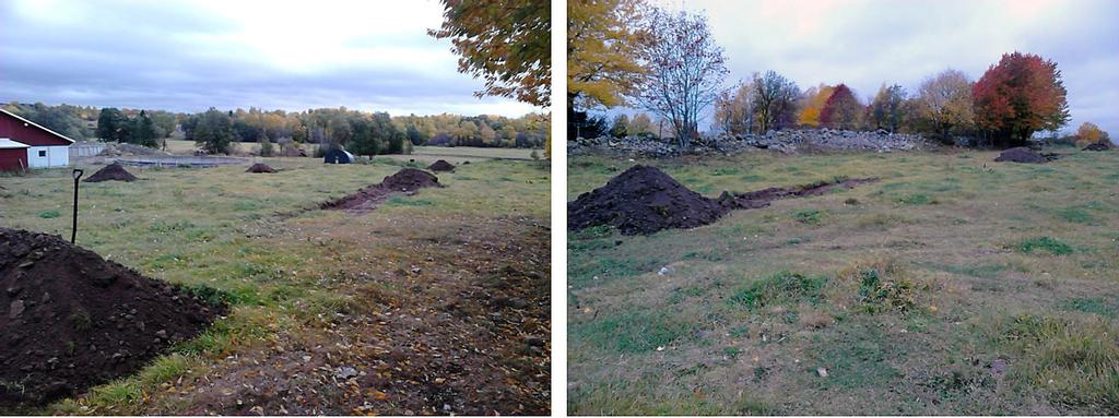 Bosgården Hornborga - arkeologisk utredning 2013 2013:38 Figur 4. Fotografier från den del av utredningsområdet som består av gräsmark i svag slänt mot söder (den västra delen, avsedd för plansilo).
