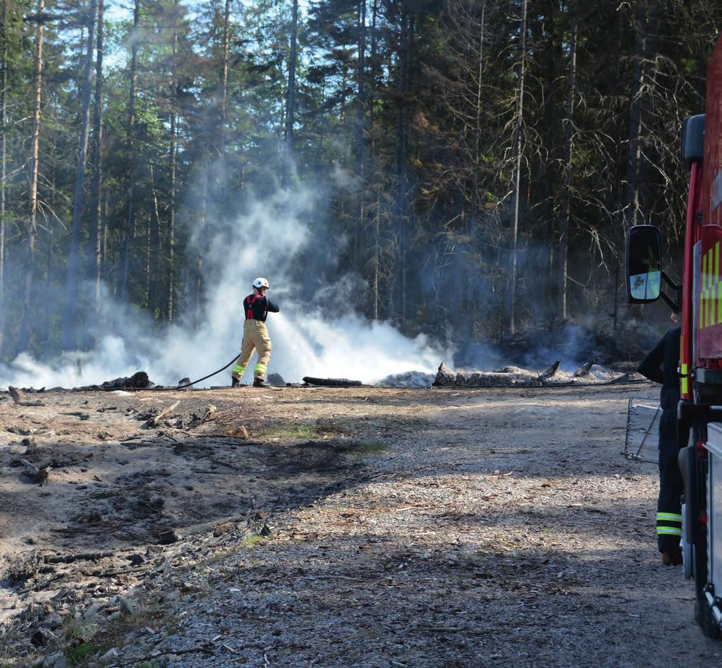 Handlingsprogram LSO Södra