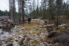 Detta måste rensas bort och en del slam i fåran måste avlägsnas. Därefter kan en biotopvårdsrestaurering genomföras.