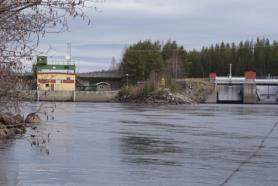 Bodum (Rossön) kraftverk/regleringsdamm Ägare: Uniper Effekt: 12 MW Årlig elproduktion: 54 GWh Turbintyp: Rörturbin Fallhöjd: 6,5 m Medelvattenföring: 117 m 3 /s Torrfåra: Ja Minimivattenföring: