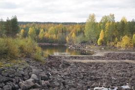 gäller att återskapa en del av de naturvärden som en gång fanns vid Fjällsjön.
