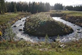 Enligt ordföranden i Vängelälvens FVO, Bo Gustavsson, fungerar fiskvägen bra och man har iakttagit en stor mängd fisk av olika arter som vandrar