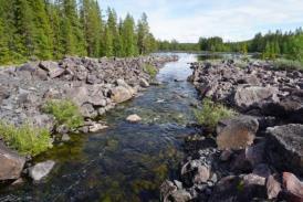 Grävda kanalen nedanför Hansselet. Den gamla forsen ligger helt torrlagd I dagsläget är Hansselet avsevärt sänkt.