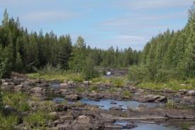 Åtgärd nr 2: Biotopvårdsrestaurering i Sjoutälven, från regleringsdammen ned till Tåsjön. En restaurering och anpassning av älvens fåra till en minimitappning är nödvändig.