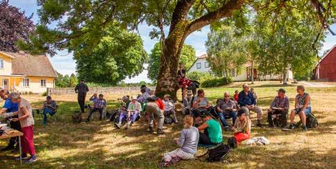 Tisdagen den 2 oktober Storkens återkomst & bioblitz 2018.
