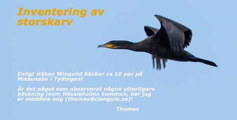 Rapporter från fältet: Årets