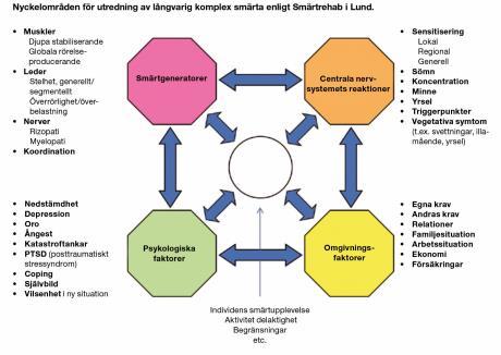 Smärtmekanismer Klassifikation av smärta Nociceptiv smärta Vävnadsskada, stimulering av smärtreceptorer i somatisk eller visceral vävnad Neuropatisk smärta Skada eller sjukdom som innefattar det