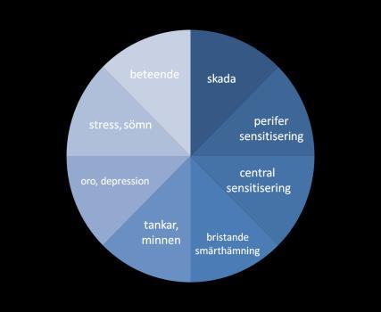 Den långvariga smärtans konsekvenser En nedåtgående spiral Smärtans komponenter Skittårtan Livsutrymme (för mig värdefulla aktiviteter) Smärta 8 Ett värdefullt liv Ett begränsat liv Gula flaggor