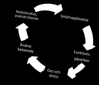 Smärtcirkeln SMÄRTAN TAR ÖVER ALLTING I LIVET Låg energi STÄNDIG