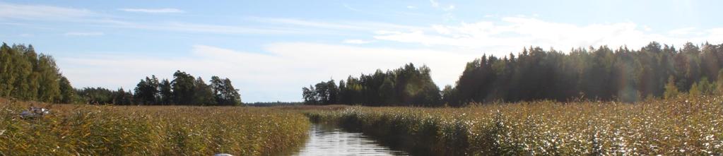 INGÅ KOMMUN GRANSKNING
