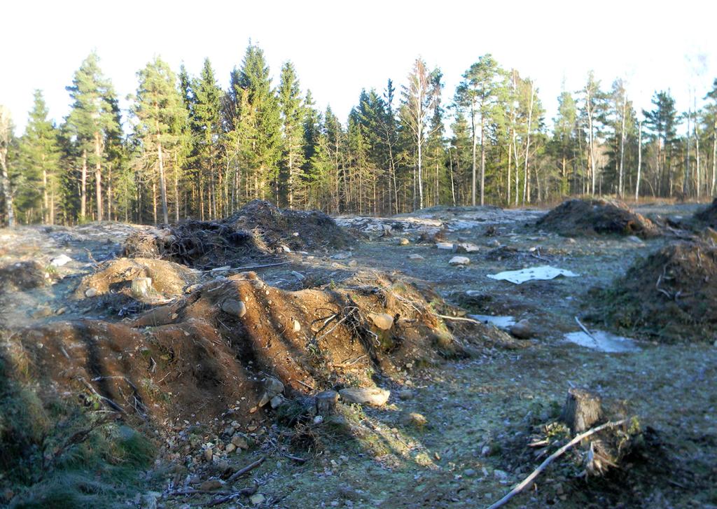 Vy över den östra delen av planområdet före igenläggning.