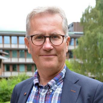 reginfullmäktige