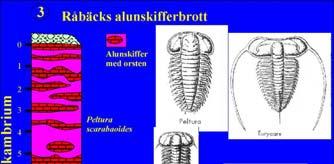 förutsägbara framsteg 