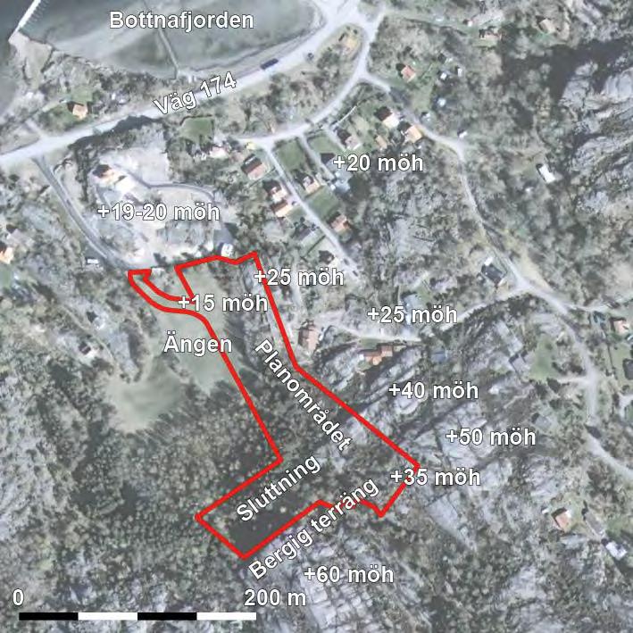 10 PLANFÖRSLAGET FÖRUTSÄTTNINGAR, FÖRÄNDRINGAR OCH KONSEKVENSER Natur Mark, terräng och vegetation Planområdet ligger i randpartiet mellan Bottnefjorden i norr och bergspartier i söder.