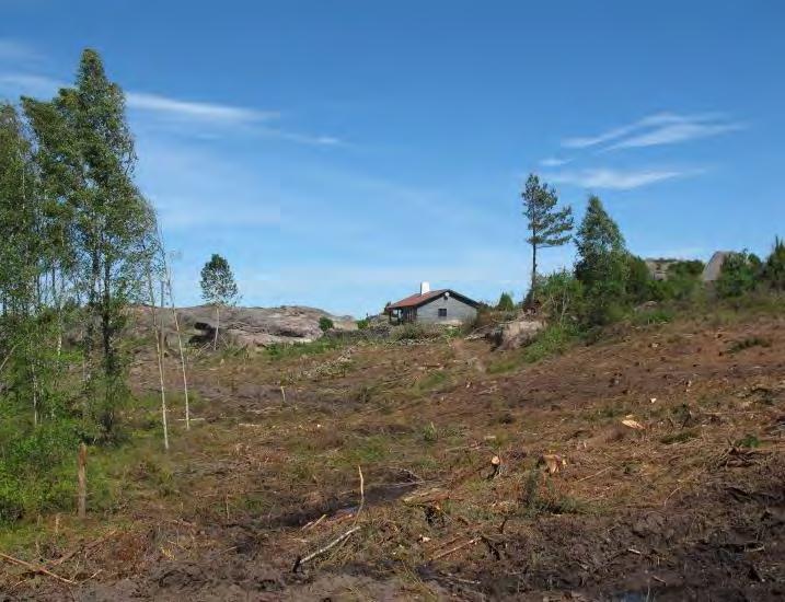 Överst: Panorama från ängen mot söder, öster och norr.