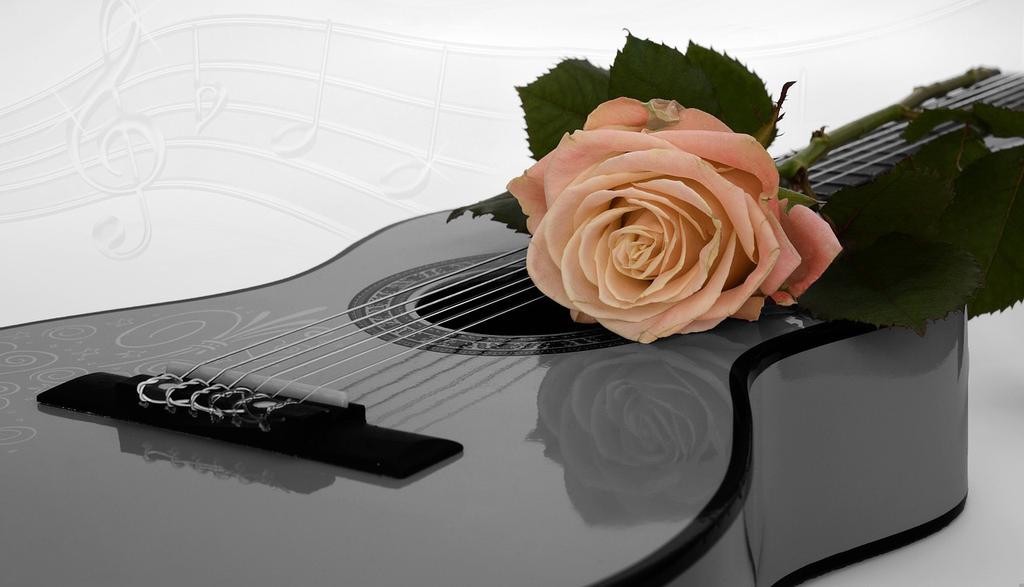 MUSIK OCH SÅNG Gitarr nybörjare Här får du lära dig att kompa och spela efter ackord med högst fyra personer/grupp. Egen gitarr, pärm och ev. notställ medtages.