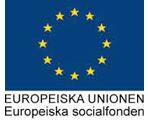 Europakonsert 2017-2019 är ett projekt där man har möjligheten att lära sig att t ex spela ett instrument, göra en affisch, stå på en scen, eller lära sig hur man gör