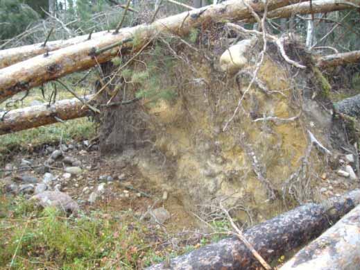 Fynd av två slaggstycken, 6 och 3 cm stora. Slaggen är svart till brun i färgen och lätt, eventuellt smidesslagg.