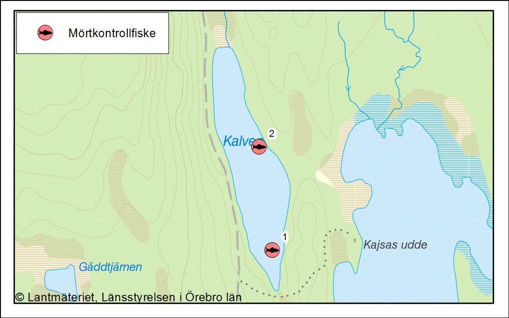 gädda fanns i sjön. Sjöns status bedöms som Dålig, med hänsyn till fisksamhället. I Tabell 5 visas koordinaterna för nätens läge. I Figur 4 visas nätens olika lägen i Kalven. Tabell 5. Koordinater med nätens läge vid mörtkontrollfisket.