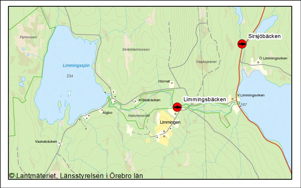 Limmingsbäcken, 138-241 Vid elfisket fångades 41 öringar, vilket utgör en skattad besättningstäthet av 20 öringar per 100 m 2.