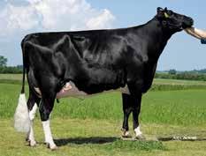 Flacon Stmb nr 91845 Kod nr 9-7480 F: Fanatic M: Penni Francis Stmb nr 92278 Kod nr 9-7638 F: Fageno M: Mariella MF: Altaiota MM: Melissa MF: Destry MM: Massia MMF: Mac MMM: Glenn-Ann Ex 90 MMF: