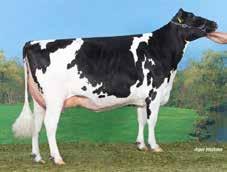 Louis PP RDC Stmb nr 92131 Kod nr 9-7550 F: Ladd P M: Midnite 13 Martinius Stmb nr 92140 Kod nr 9-7613 F: Missouri M: Fantasie MF: Epic MM: Midnite 4 VG-86 MMF: Lawn Boy MMM: Midnite MF: Fanatic MMF: