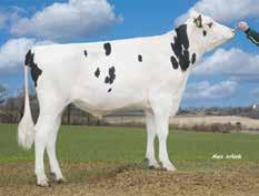 Paradiso Stmb nr 92378 Kod nr 9-76 F: Penley M: Nynne VG-87 Popstar PP Stmb nr 92281 Kod nr 9-7650 F: Powerball P M: RZH Gwen-P MF: Supersire MM: Nemolla VG- MF: Ladd P MM: Gwen-Red Pp VG-88 MMF: