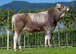 05 Productions index ITE 2 Rank K-Cas. BB Calving ind. Daughters 91 Security 91 Milk kg 722 Fat % 0.04 Fat kg 34 Proteins % 0.
