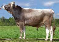 215 ENSIGN ET *TA NEPAL DE 09 30480685 JUPITER *TM 7/7 8.703 4,11 3,66 676 MARION ORSELIA DE 09 383743 HUCOS DE 09 84731 HUVIC 9/9 8.054 4,32 3,77 652 ORKLA DE 09 33536868 EMSTAR (M) HL: 3. 8.2 4,48 3,86 741 11/10 8.