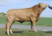 Pp Leon Fantastic PP* 8/8/8 Imperator Pp Hauteur 4 Pp* Performance (own) Performance (own) GGE kg 44 200 Days 1524 Daily weight gain in g 365 Days 1506 T 8 Licensing B 8 S