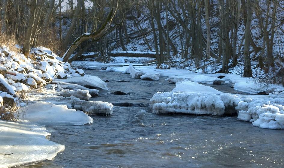 1997 1999 2 21 22 23 24 2 26 27 28 29 21 Rönne å - Vattenkontroll 21 21 - med en kall vinter Årsmedeltemperaturen 21 var lägre än normalt.