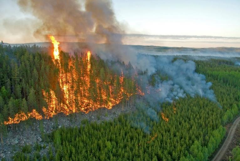 Skogsbrandsommaren 2018 Brandrisk